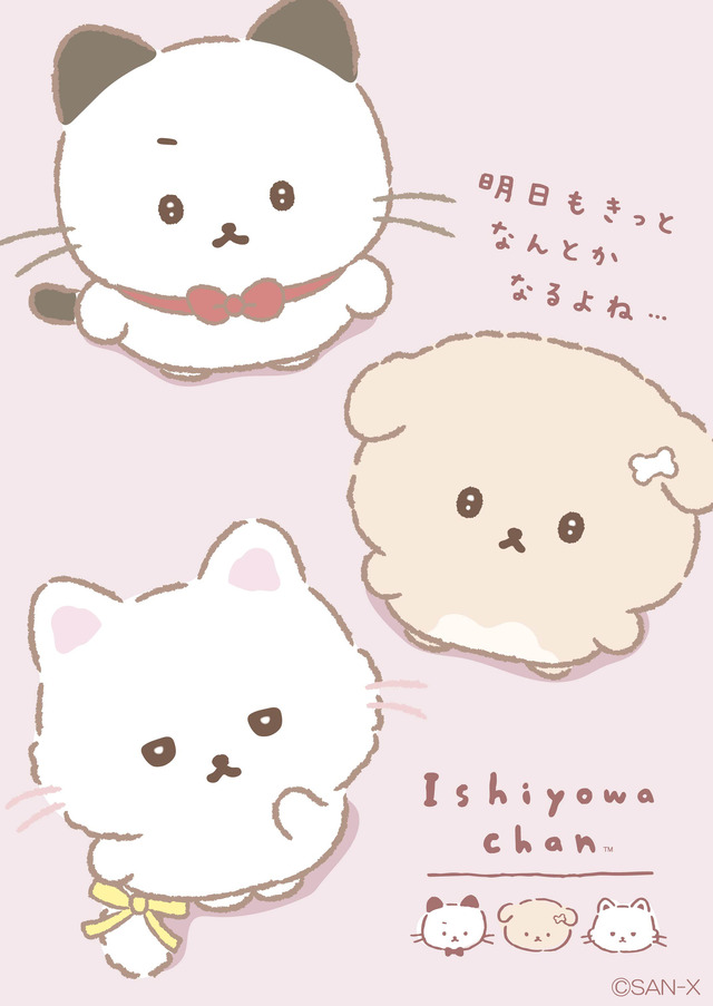 いしよわちゃん「後輩ちゃん登場」テーマの新アイテム登場（C）2025 SAN-X CO., LTD. ALL RIGHTS RESERVED.