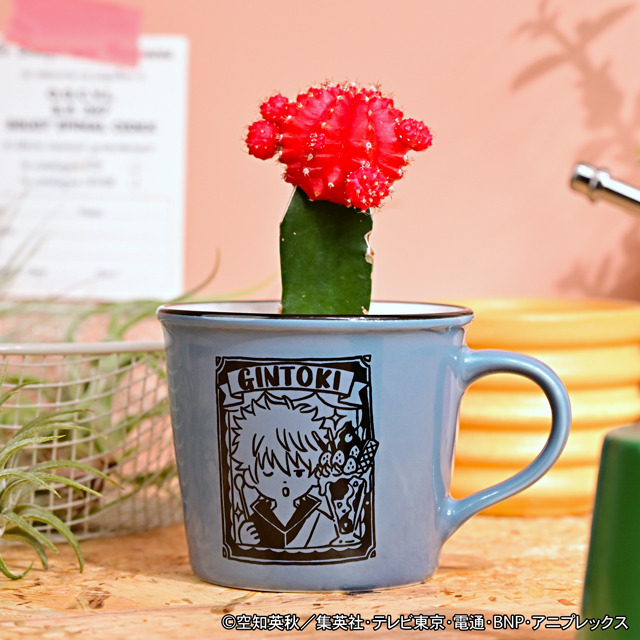 ホーロー風マグカップ(全4種)