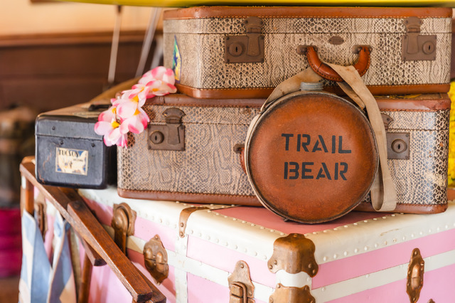 ミセスとコラボのベイマックスやきらびやかなパレードにキャッスルショーまで！“夜プラン”で満喫する東京ディズニーランド