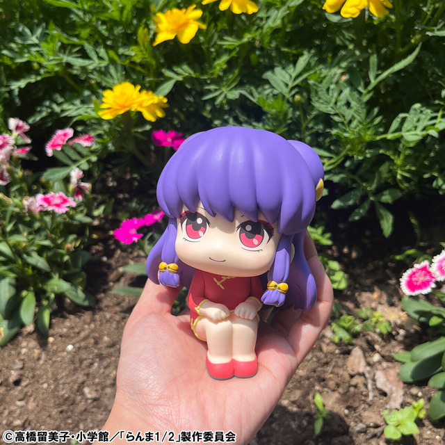 るかっぷ TVアニメ「らんま1/2」 らんま＆シャンプ― セット【限定座布団付き】