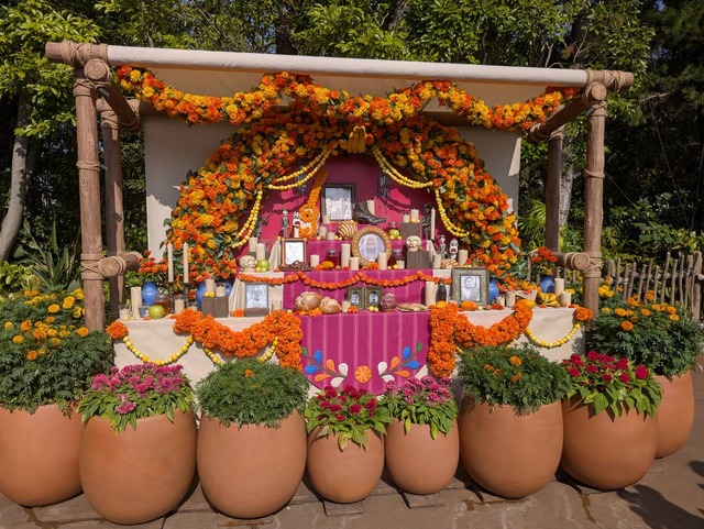 ミゲルも登場！東京ディズニーシー、ディズニー＆ピクサー映画『リメンバー・ミー』の世界がテーマの「ラソス・デ・ラ・ファミリア」初開催！