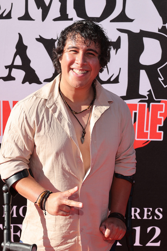 ハリウッドのTCLチャイニーズシアターにてプレミアイベントが実施