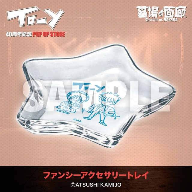 ファンシーアクセサリートレイ