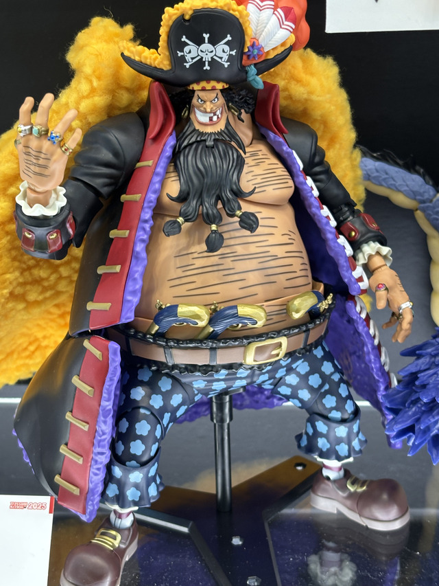 「TAMASHII NATION 2025」実物フィギュア