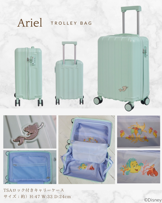 『Disney Collection HAPPY BAG』