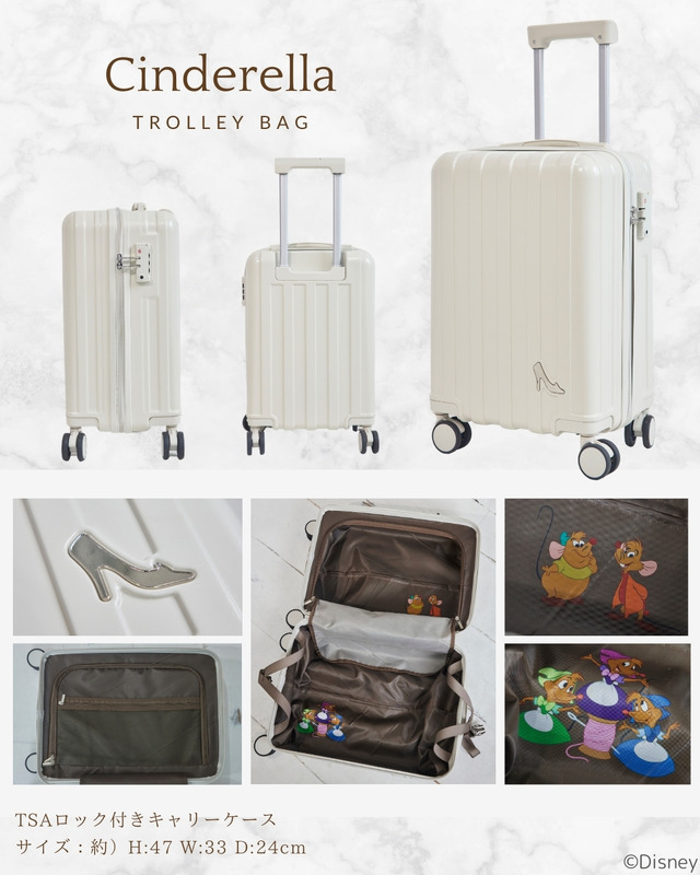 『Disney Collection HAPPY BAG』