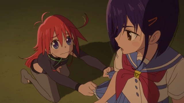 （c）FliFla Project