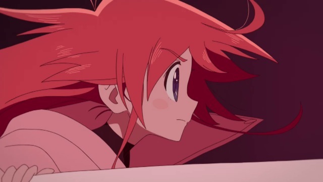 （c）FliFla Project