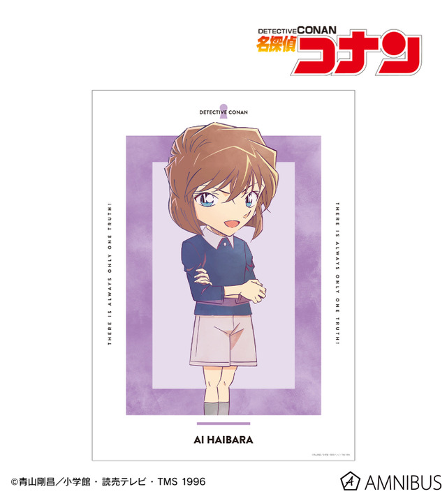 TVアニメ『名探偵コナン』灰原哀 Ani-Art 第10弾 A3マット加工ポスター