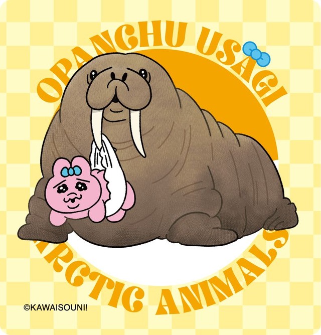 「おぱんちゅうさぎラングリーチョコ12枚」マグネットシート（全5種）