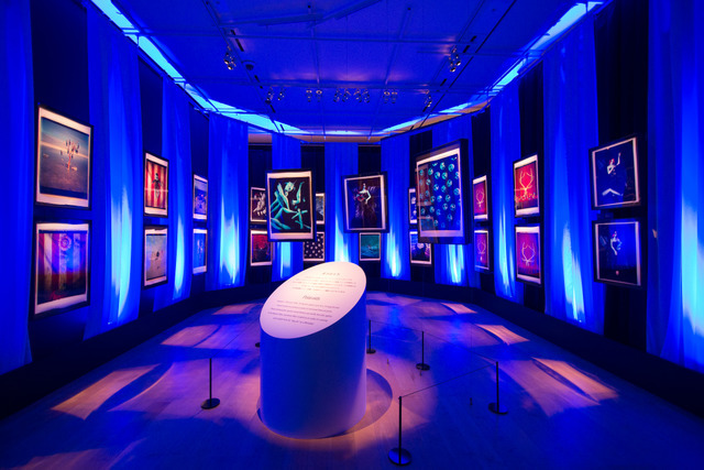 幻想的な世界へようこそ