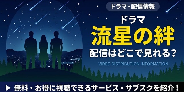 ドラマ『流星の絆』 配信情報