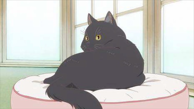 (c)Makoto Shinkai／CWF・彼女と彼の猫EF製作委員会