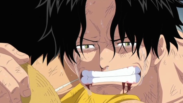 TVアニメ『ワンピース』1155話（「東の海（イーストブルー）編」～「エッグヘッド編」）