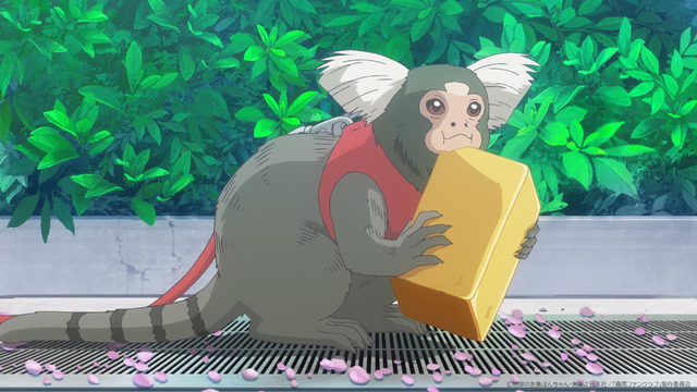 TVアニメ『霧尾ファンクラブ』第1話先行カット