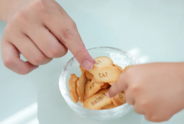 たべっ子どうぶつLAND POP UP STORE