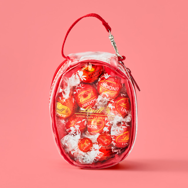 専用ポーチ（レッド）