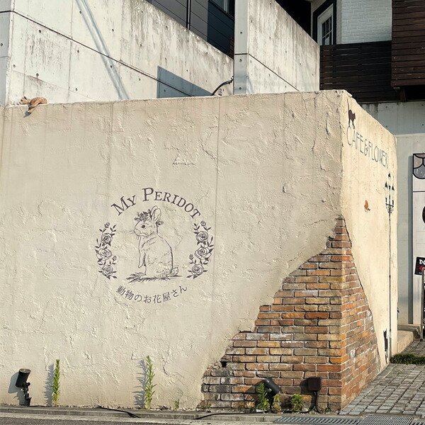 動物のお花屋さんマイペリドット