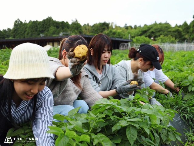 農園リゾートTHE FARM