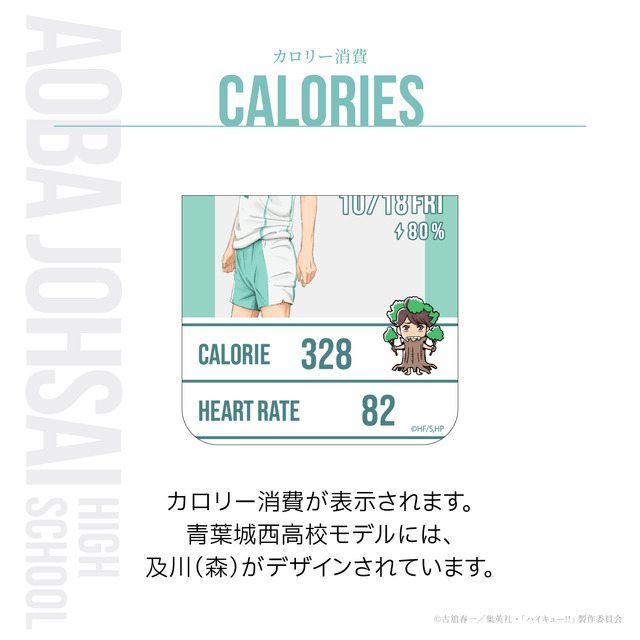 青葉城西高校モデル