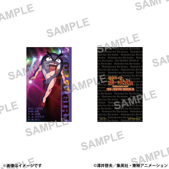 ビジュアルカード(ランダム9種)