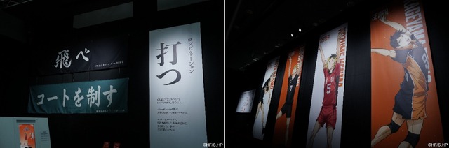【ビジュアル展示】