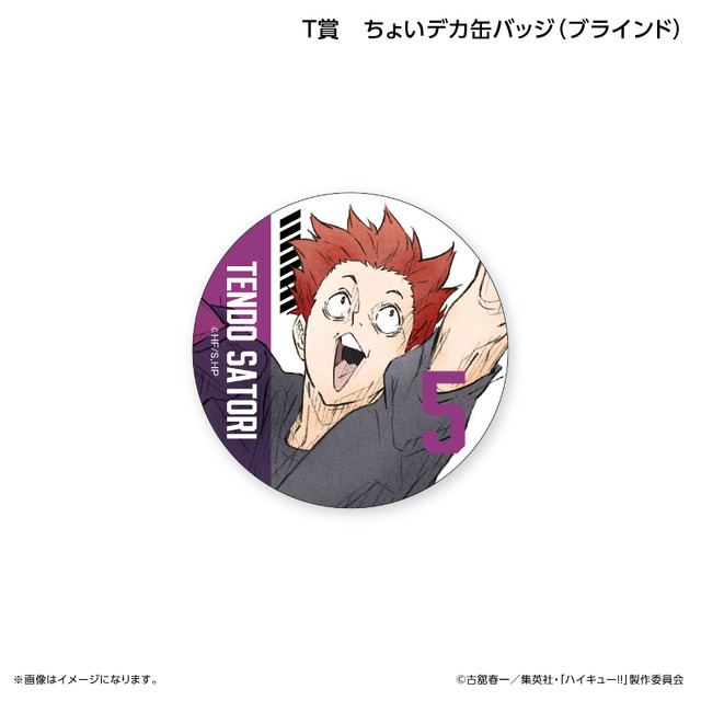 くじラック「アニメ『ハイキュー!!』～ブロックレン!!～」　T賞：ちょいデカ缶バッジ（ランダム全8種）