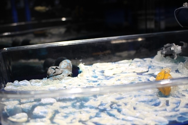 【ガンプラEXPO】ビルドファイターズが現実に？VR体験や歴代日本代表の展示も