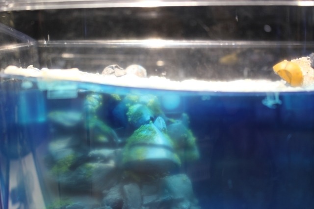 【ガンプラEXPO】ビルドファイターズが現実に？VR体験や歴代日本代表の展示も