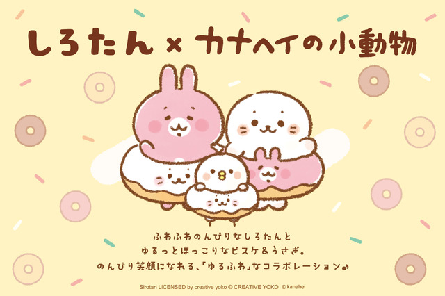 『しろたん』×『カナヘイの小動物』