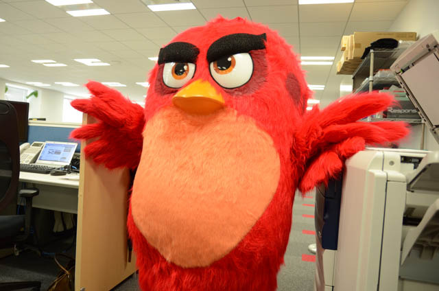 「アングリーバード」意外と紳士的？レッドくんがアニメ！アニメ！編集部にやってきた！