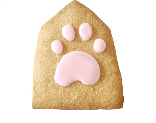 (c)羽海野チカ・白泉社／「３月のライオン」アニメ製作委員会