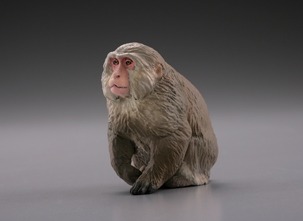 「日本の動物コレクションI東北/北限のサル」