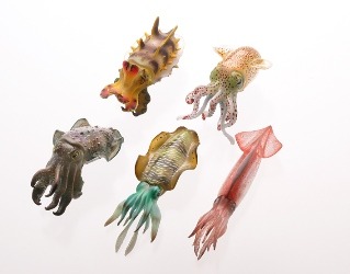 「イカコレ！」