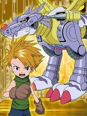 初回特典「コンビカード」3枚セット