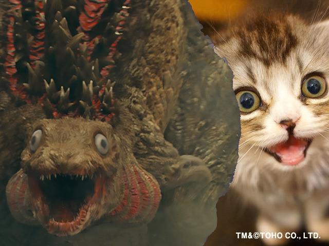 TM&（c）TOHO CO., LTD.