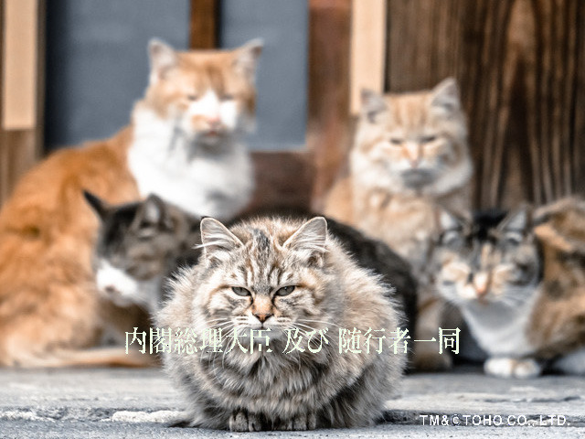 TM&（c）TOHO CO., LTD.