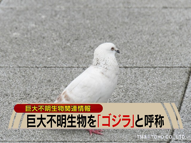 TM&（c）TOHO CO., LTD.