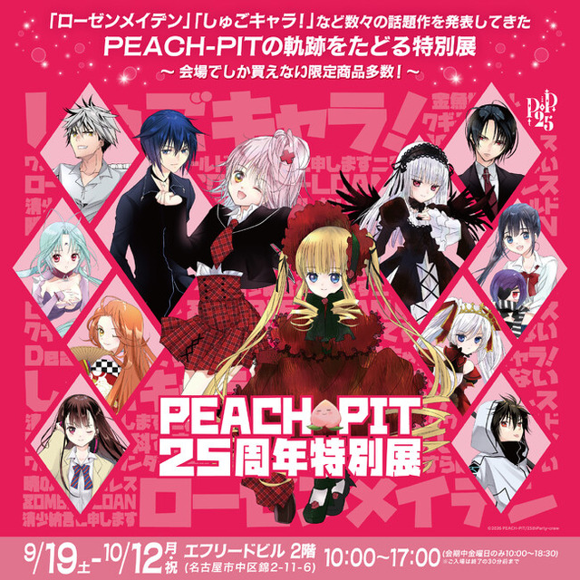 PEACH-PIT 25周年 画集 直筆サイン入り ローゼンメイデンプロット集 555132.jpg