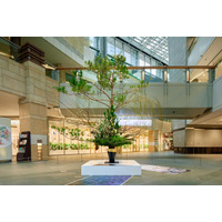 2026年新春を飾るいけばなと写真のインスタレーションアート体験を六本木ヒルズで！2026年1月７日(水) 23時まで