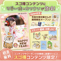 Xフォロワー数23万人超！4コマ漫画が話題のIP「可愛い嘘のカワウソ」、スゴ得コンテンツ(R)にて提供開始