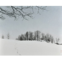 ― 静寂を纏う神々しい光 ― 江川 直也の日本初個展をギャルリーためながにて開催