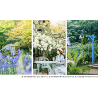 ROKKO森の音ミュージアム フェア「ハーモニー・オブ・ガーデン」 六甲山のナチュラルガーデンのフラワーシーズン到来 2026年3月14日（土）～8月21日（金）