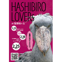 京王アートマン 聖蹟桜ヶ丘店にてハシビロコウグッズ販売イベント「HASHIBIRO LOVERs at 聖蹟桜ヶ丘」を開催