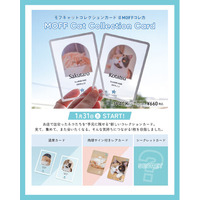 好評につき販売店舗拡大！『MOFF Cat Collection Card』1月31日（土）より新たに7店舗で展開