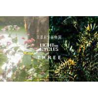 THREEが日本最古の公立植物園「京都府立植物園」とアートナイトイベント「LIGHT CYCLES KYOTO」にて、インスタレーションイベントを開催
