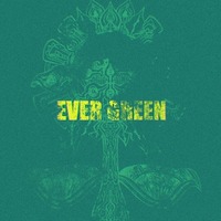 TOOBOEアルバム「EVER GREEN」リリース！ツアー”裏ファイナル”開催も決定！