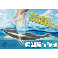 潮の代わりにティッシュを吹く「くじらッシュ」が発売