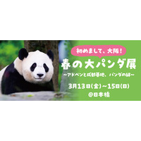 【3日間限定】祝・大阪初開催！ 「初めまして、大阪！ 春の大パンダ展」を開催！