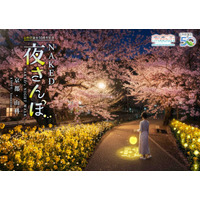 京都市「meetus山科-醍醐」連携事業として、山科疏水公園初の夜桜ライトアップを実施『山科区誕生50周年記念NAKED 夜さんぽ ―京都・山科―』開催決定